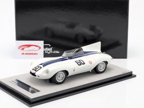 Jaguar D-Type #60 vencedora Watkins Glen GP 1955 Johnston 1:18 Tecnomodel