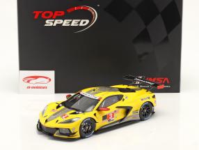 Chevrolet Corvette C8.R #3 gagnant Classe GTLM 24h Daytona 2021 1:18 TrueScale