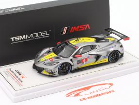 Chevrolet Corvette C8.R #4 2nd GTLM class 24h Daytona 2021 1:43 TrueScale