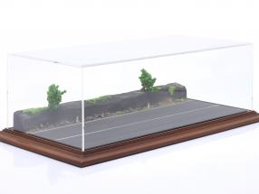 Alta qualidade Acrílico Mostruário com placa de base diorama Forest Road 1:43 Atlantic