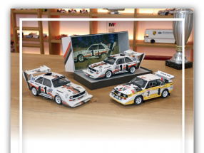 代金券 - 主题 Rallye Walter Röhrl