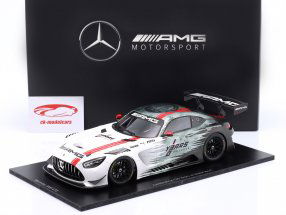 Mercedes-Benz AMG GT3 130 年 モータースポーツ 多色 1:18 Minimax