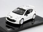 Peugeot 207 S2000 Rallye Specs Plain Body Version weiß 1:43 Ixo