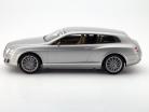 Bentley 大陸の フライング 星 バイ ツーリング 銀 1:18 BoS-Models