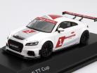 Audi TT Cup 2015 Présentation Car #1 1:43 Spark