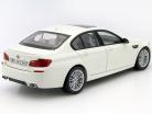 BMW M5 год 2011 белый 1:18 Paragon Models