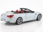 宝马M6敞篷银二银1:18典范模型