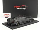 Ford GT LMGTE Test Car 2015 carbono 1:18 True Scale