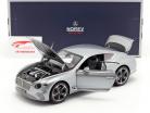 Bentley Continental GT Opførselsår 2018 hallmark grå metallisk 1:18 Norev