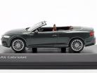 Audi A5 Cabriolet ano de construção 2017 verde Gotland 1:43 Spark