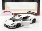 Lamborghini Gallardo GT3 FL2 Anno 2013 bianco 1:18 AUTOart