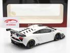 Lamborghini Gallardo GT3 FL2 Año 2013 blanco 1:18 AUTOart