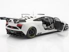 Lamborghini Gallardo GT3 FL2 Anno 2013 bianco 1:18 AUTOart