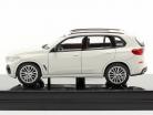 BMW X5 G05 Año de construcción 2018 blanco mineral 1:64 Paragon Models