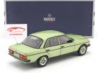 Mercedes-Benz E-class 200E (W123) AMG year 1984 silver green 1:18 Norev