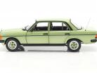 Mercedes-Benz E-klasse 200E (W123) AMG Bouwjaar 1984 zilver groen 1:18 Norev