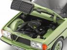Mercedes-Benz E-class 200E (W123) AMG year 1984 silver green 1:18 Norev