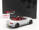 Bentley Continental GT Convertible Ice 1:18 TrueScale