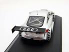 Audi TT RS VLN Presentation Car 2012 Silver Spark 1:43