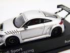 Audi TT RS VLN Presentation Car 2012 Silver Spark 1:43
