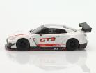 Nissan GT-R NISMO GT3 LHD Presentation Car 2018 weiß 1:64 TrueScale