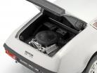 Alpine-Renault A310 V6 year 1979 silver 1:18 Norev