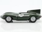 Jaguar D-Type #19 vinder 12h Sebring 1955 Hawthorn, Walters 1:18 CMR