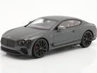 Bentley Continental GT Speed Byggeår 2022 satin Grå 1:18 TrueScale