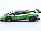 Lamborghini Huracan GT3 Evo2 Presentation Car 2018 verde / negro 1:18 TrueScale