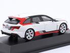 Audi RS6 (C8) GT arcona branco 1:43 Spark