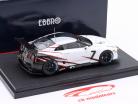 Nissan GT-R GT1 Presentation Car 2009 wit 1:43 Ebbro