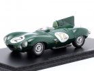 Jaguar D-Type #12 24h LeMans 1954 Moss, Walker 1:43 Spark