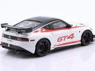 Nissan Z GT4 Coupe Bouwjaar 2022 wit / rood 1:18 OttOmobile