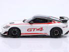 Nissan Z GT4 Coupe Bouwjaar 2022 wit / rood 1:18 OttOmobile
