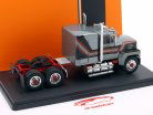 Ford LTL 9000 Грузовик Год постройки 1978 серебро 1:43 Ixo