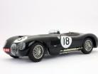ジャガーCタイプ＃18ウィナー24時間ルマン1953·ライとハミルトン1時18分オートアート