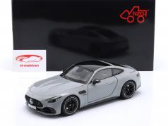 Mercedes-Benz AMG GT 43 gris alpin 1:18 NZG