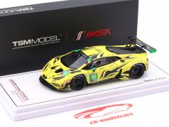 Lamborghini Huracan GT3 Evo2 #19 24h Daytona 2023 Iron Lynx 1:43 TrueScale