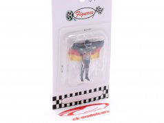 Sebastian Vettel と フラグ 式 1 形 1:43 Cartrix