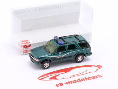 organización de conservación de la naturaleza Florida FWC verde metálico 1:87 Busch