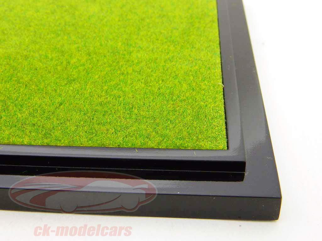 Concours d'Elegance - Kunstgras showcase & base 1:18 TrueScale