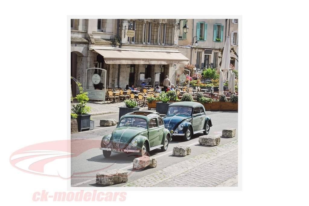 Boek: Beetle Love / door Thorsten Elbrigmann (Engels)