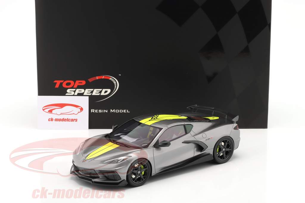 Chevrolet Corvette Stingray IMSA GTLM Championship Edition grey 1:18 TrueScale