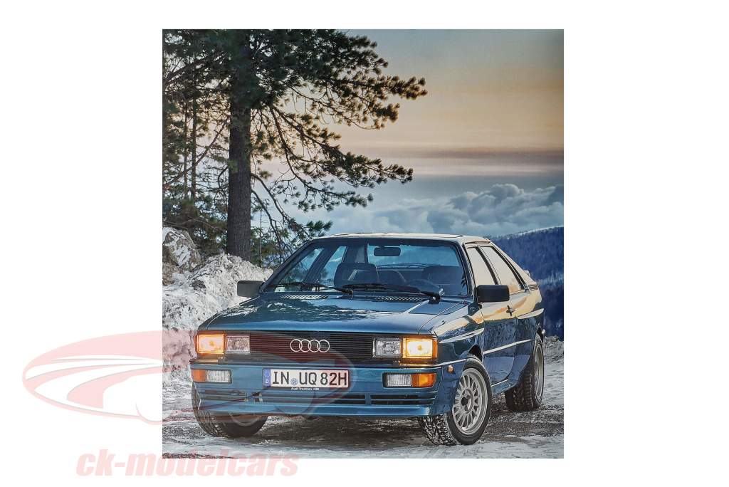 libro: Audi Quattro de Dirk-Michael Conradt