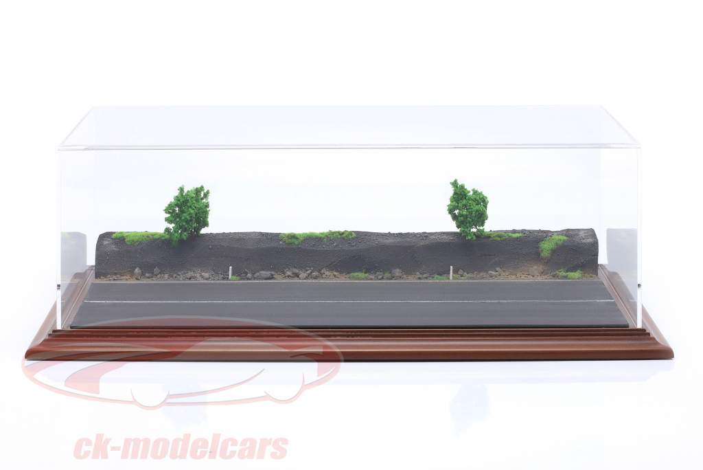 High quality Acrylic Showcase with Diorama base plate Forest Road 1:43 Atlantic