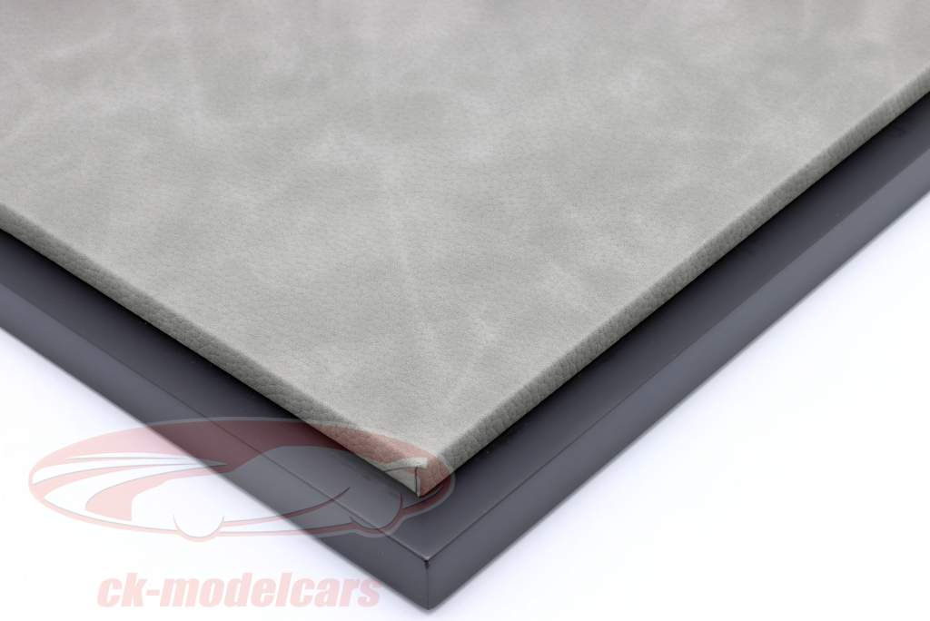 luxury Acrylic display case with leatherette on MDF base plate Gray 1:12 Jewel Cases