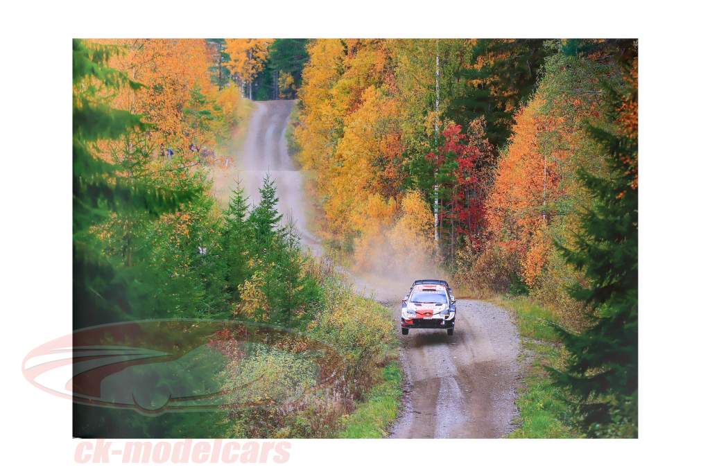 Book: Rallying 2021 - Moving Moments