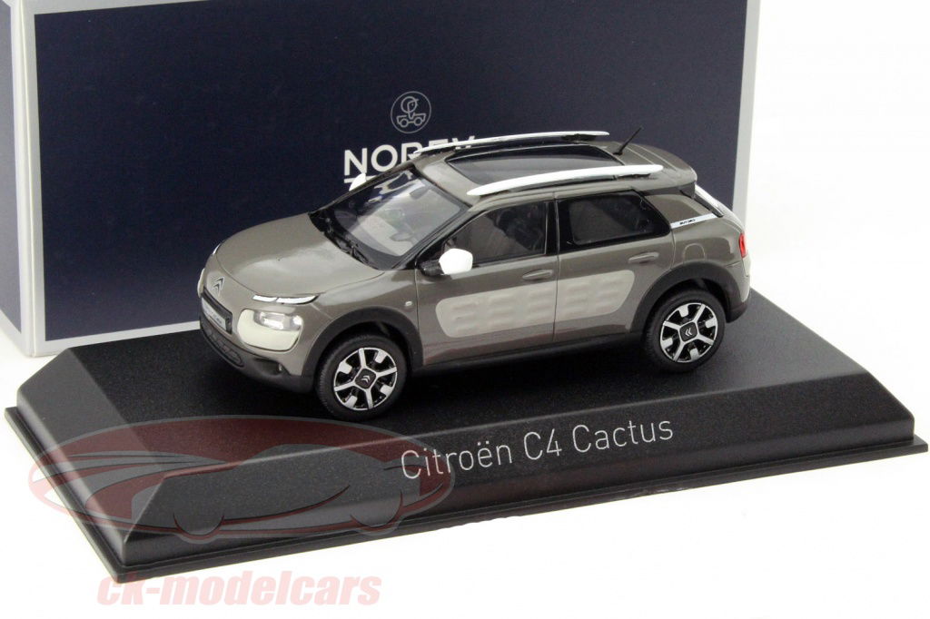 norev-1-43-c4-cactus-2014-155472/