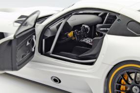 Modellautos Mercedes-AMG GT3 1:18