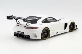 model cars Mercedes-AMG GT3 1:18